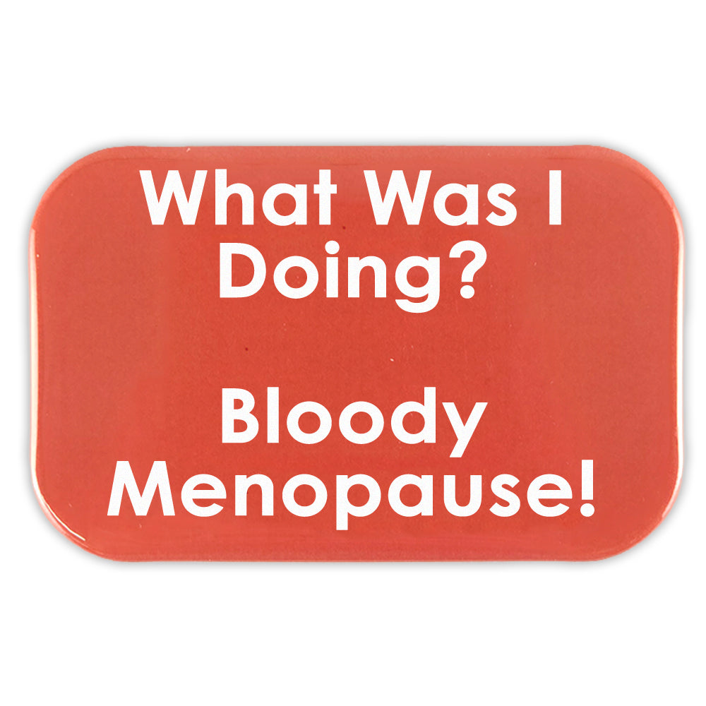 What Was I Doing? | Fridge Magnet | Fun Menopausal Mini Gift | Cracker Filler