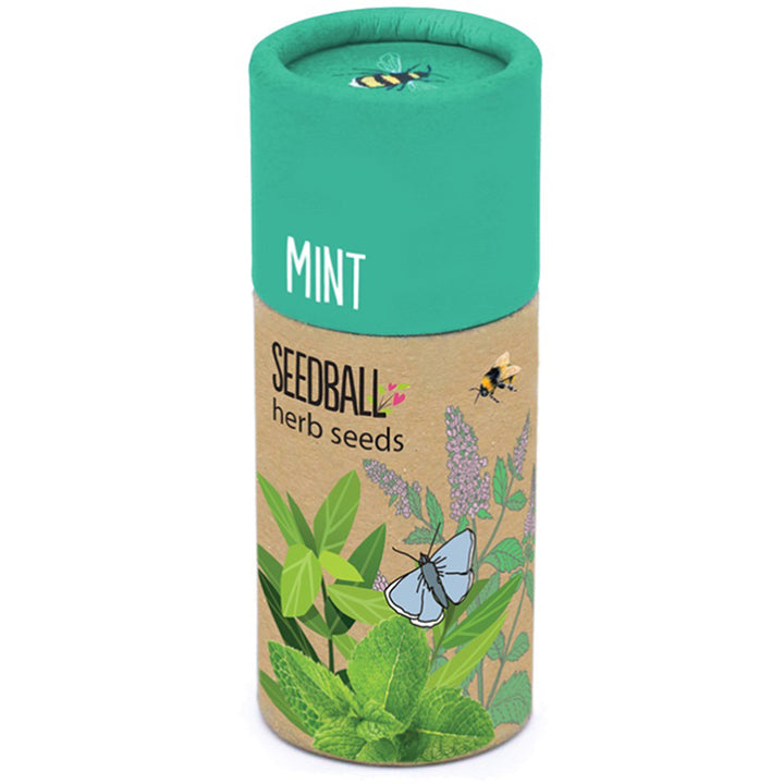 Mint | Luxury Tube of Seedballs | Cracker Filler | Mini Gift