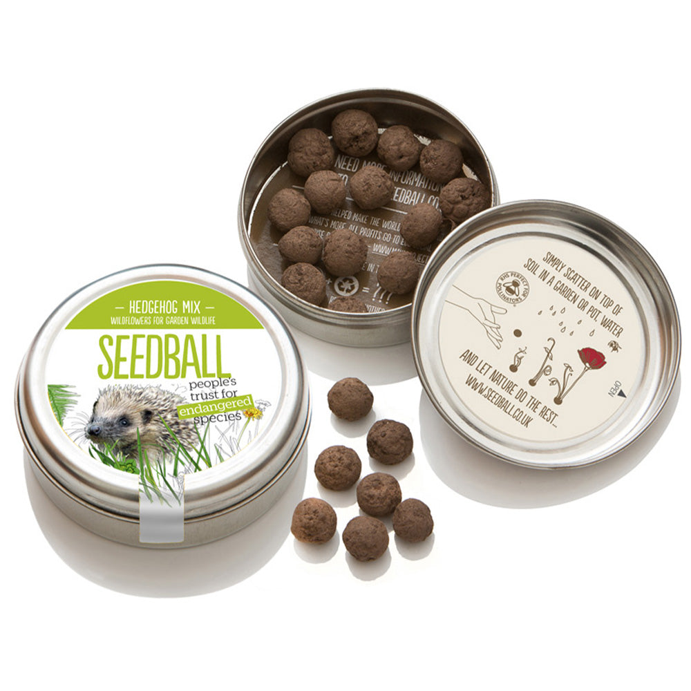 Hedgehog Mix  | Wildflower Seedball Tin | Lovely Gift