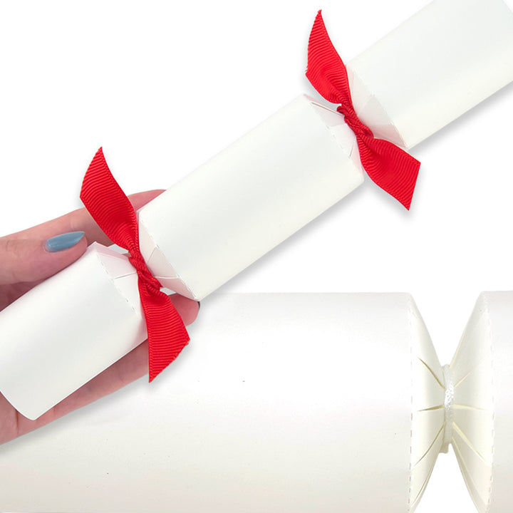 Cool White | SMALL Cracker Making DIY Kits | Make Your Own | Recyclable