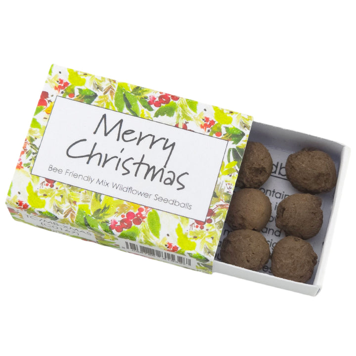 Watercolour Berries | Merry Christmas | Bee Mix Seedballs | Cracker Filler