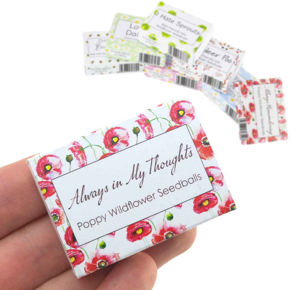 Always in My Thoughts | 6 Seedball Box | Poppies | Cracker Filler | Little Gift