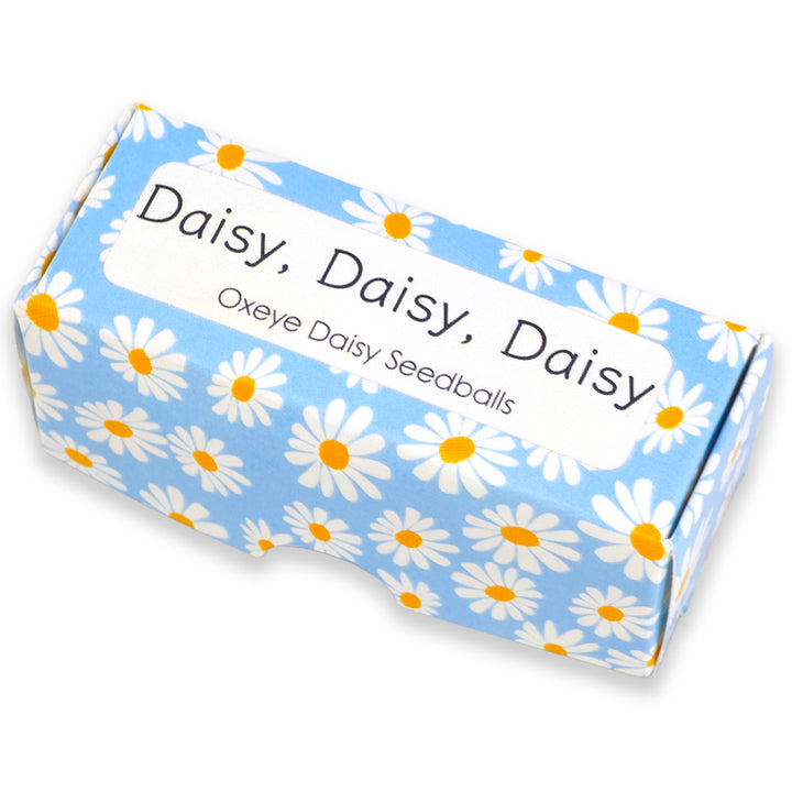Blue Daisy Design | 20 Oxeye Daisy Seedballs | Cracker Filler | Little Gift