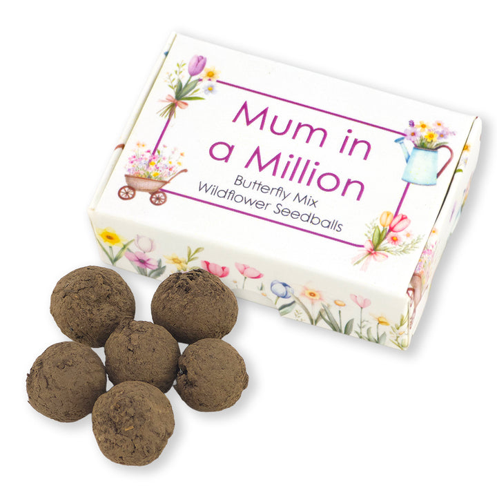 Mum in a Million | Box of 6 Seedballs | Butterfly Mix | Mini Gift | Cracker Filler