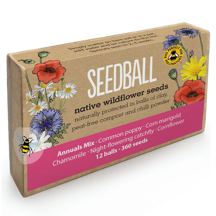 Annuals Mix | 12 Native Wildflower Seedballs | Mini Gift | Cracker Filler