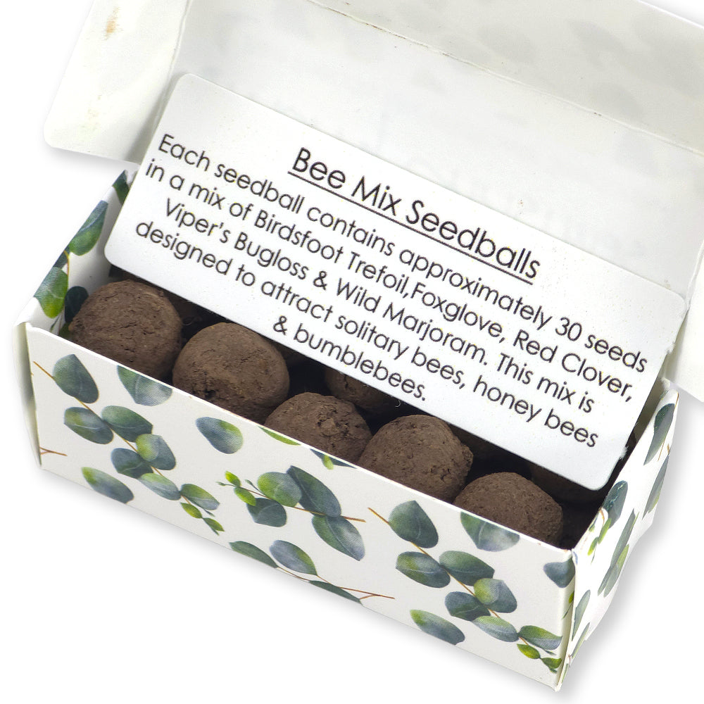 Watercolour Eucalyptus | Merry Christmas | 20 Bee Mix Seedballs | Cracker Filler