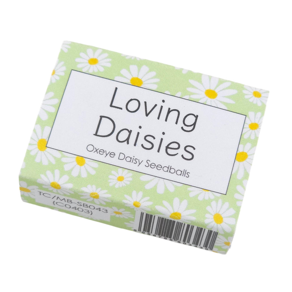 Green Daisy Design | Seedball Box | Oxeye Daisy | Cracker Filler | Mini Gift