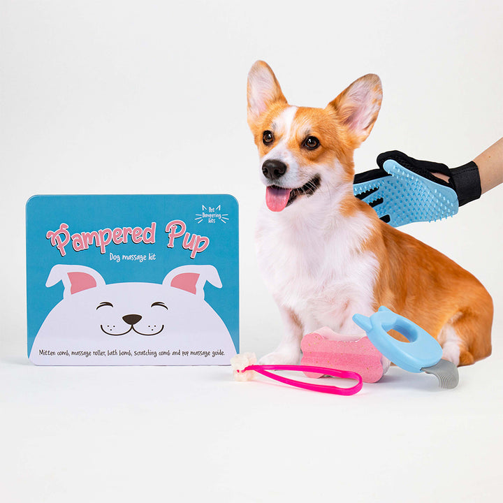 Pampered Pup | Dog Massage Kit | Gift in a Tin for Pet Lovers