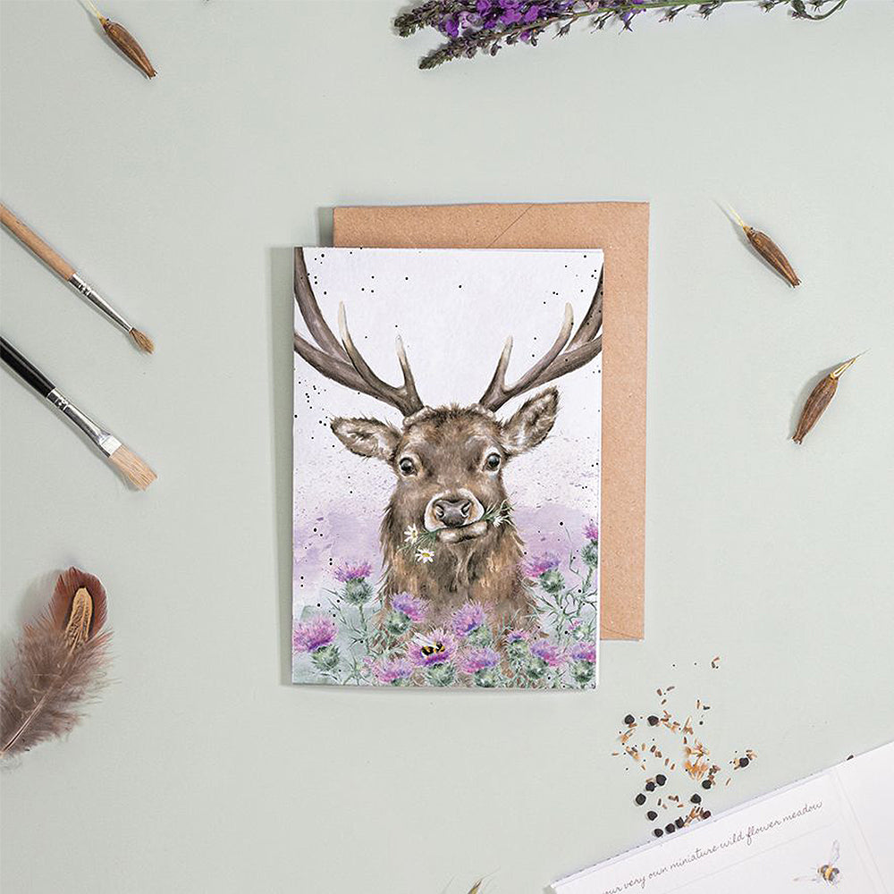 Stag and Thistle | Blank Card & Wild Flower Seeds | 10.5x15cm | Wrendale Designs