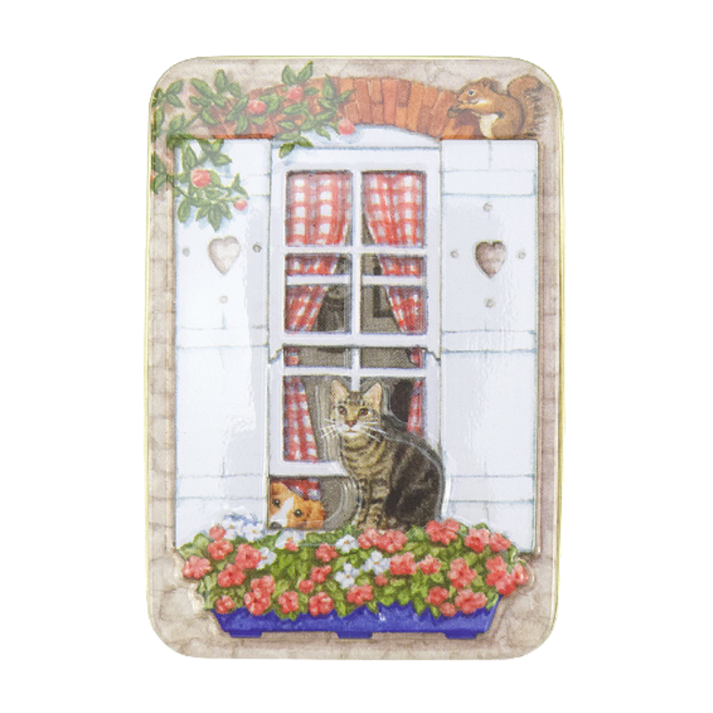 Window Box Cats | Cute Fillable Tin | Little Gift | 11 x 7.5cm
