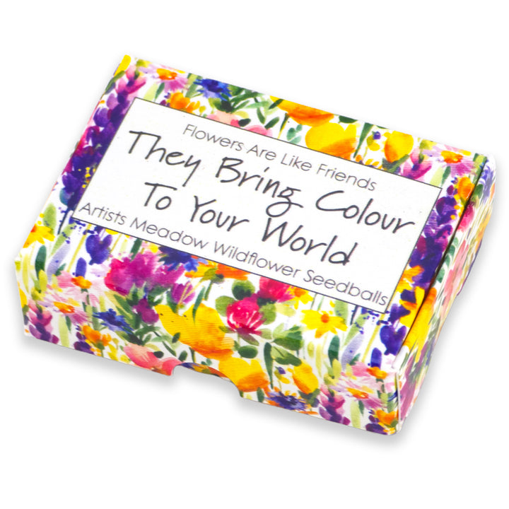 Flowers Are Like Friends | Artist Mix | 6 Seedball Box | Cracker Filler Gift