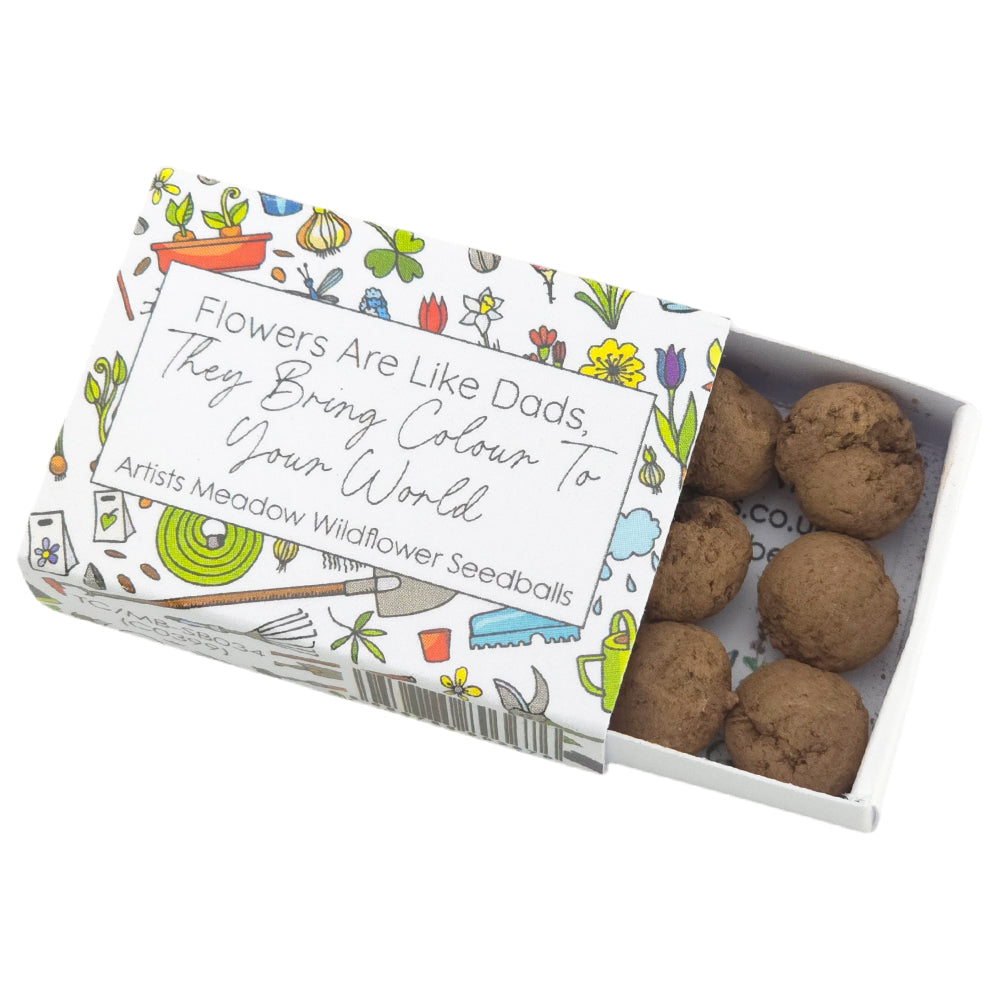Flowers Are Like Dads | Artist Mix | 6 Seedball Box | Cracker Filler | Mini Gift
