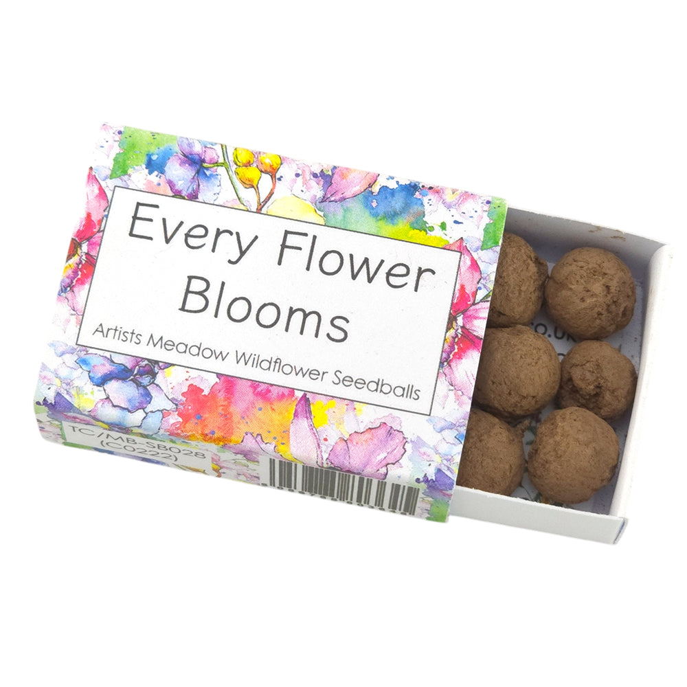 Every Flower Blooms | Artist Mix | 6 Seedball Box | Cracker Filler | Little Gift