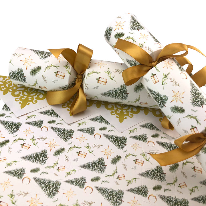 Classic Watercolour Christmas | Cracker Making Craft Kit | Make &amp; Fill Your Own