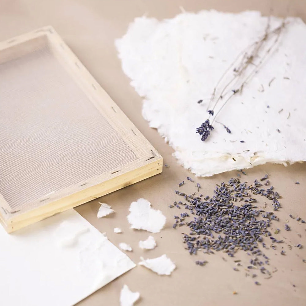 Papermaking Starter Kit - Craft for Adults