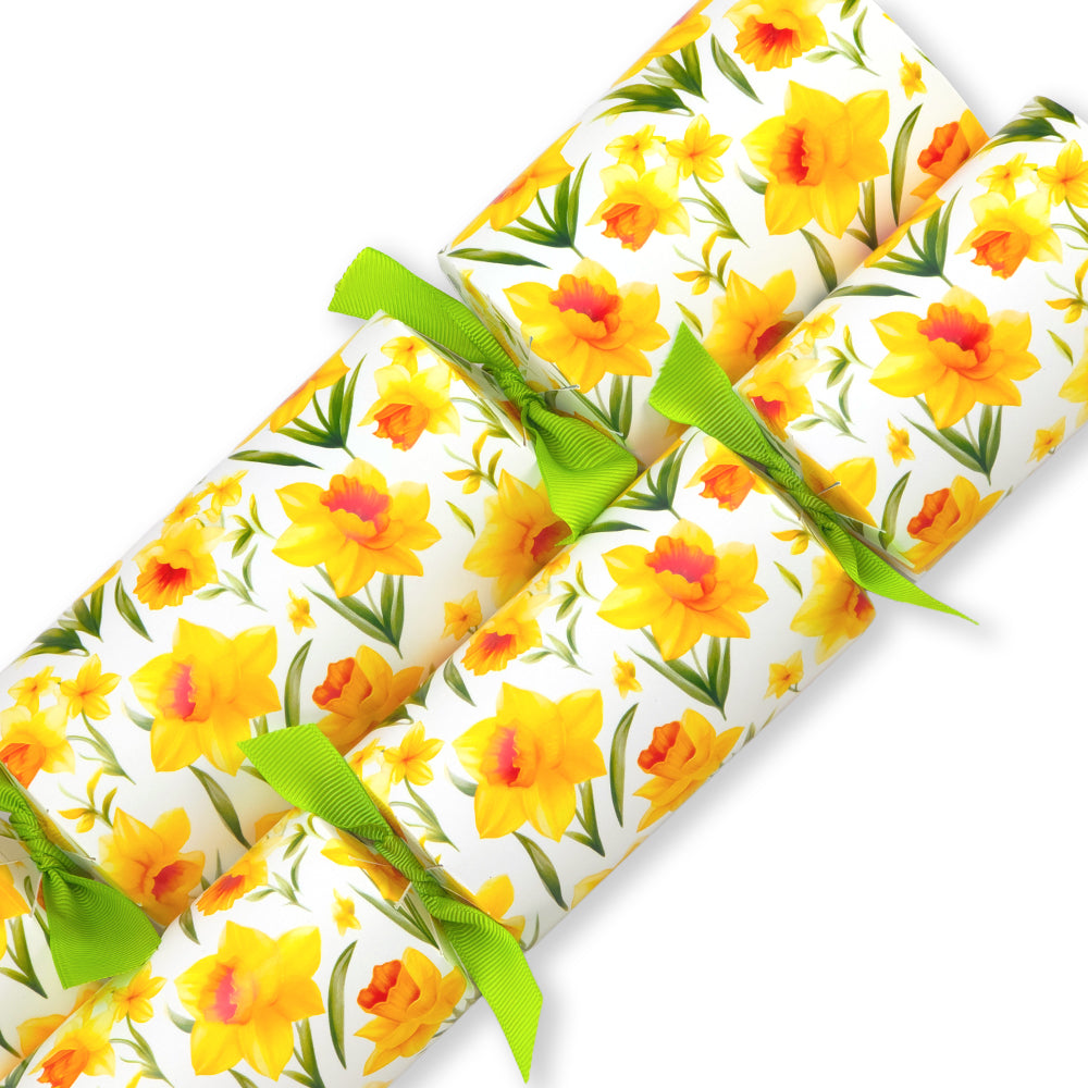 Spring Daffodils | Cracker Making Craft Kit | Make &amp; Fill Your Own