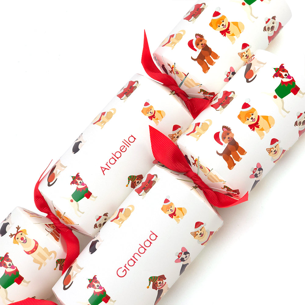 Personalised Cracker Making Craft Kit | Christmas Dogs | Makes 4 or 6 Crackers