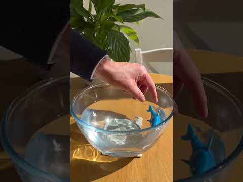 Shark | Wind Up Swimming Toy | Bathtime | Single | Little Gift | Cracker Filler