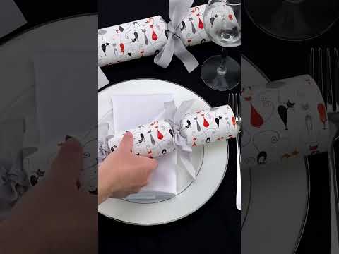 Modern Cats | Cracker Making Craft Kit | Make &amp; Fill Your Own