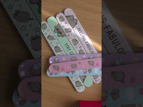 Pusheen the Cat | Compressed Flannel | Single | Little Gift | Cracker Filler