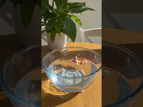 Female | Wind Up Swimming Figure | Wild Water | Little Gift | Cracker Filler