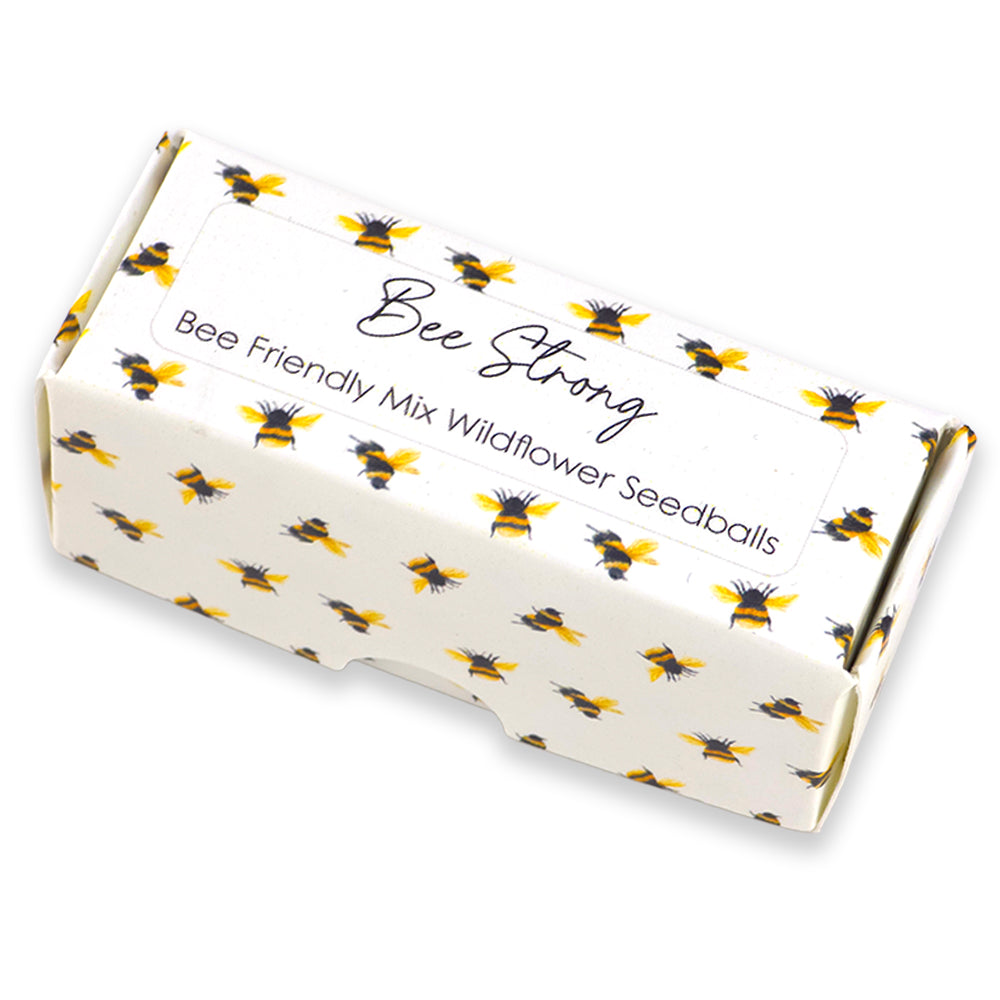 Bee Strong | Box of 20 Bee Mix Seedballs | Cracker Filler | Little Gift