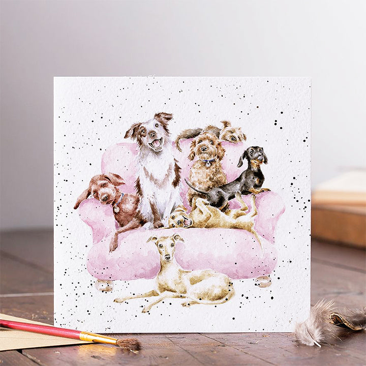 Movie Night Dogs | Blank Card | 15x15cm | Wrendale Designs