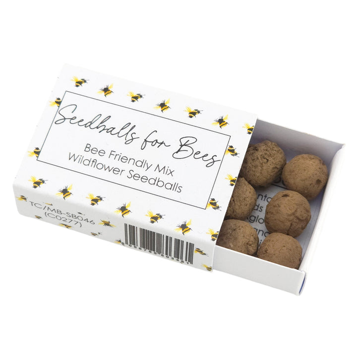 Watercolour Bee | 6 Seedball Matchbox | Bee Mix | Cracker Filler | Little Gift