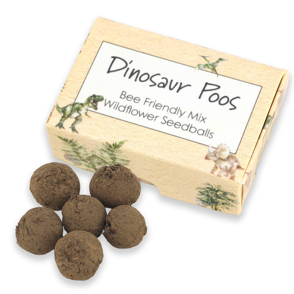 Dinosaur Poos | 6 Seedball Matchbox | Bee Mix | Cracker Filler | Little Gift