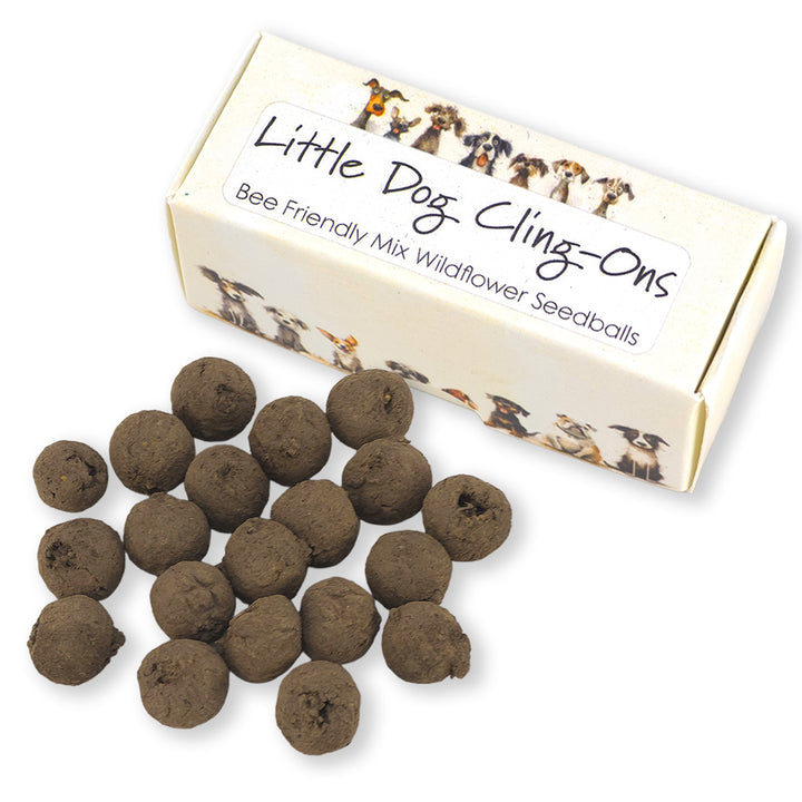 Little Dog Cling-Ons | Box of 20 Bee Mix Seedballs | Cracker Filler | Little Gift