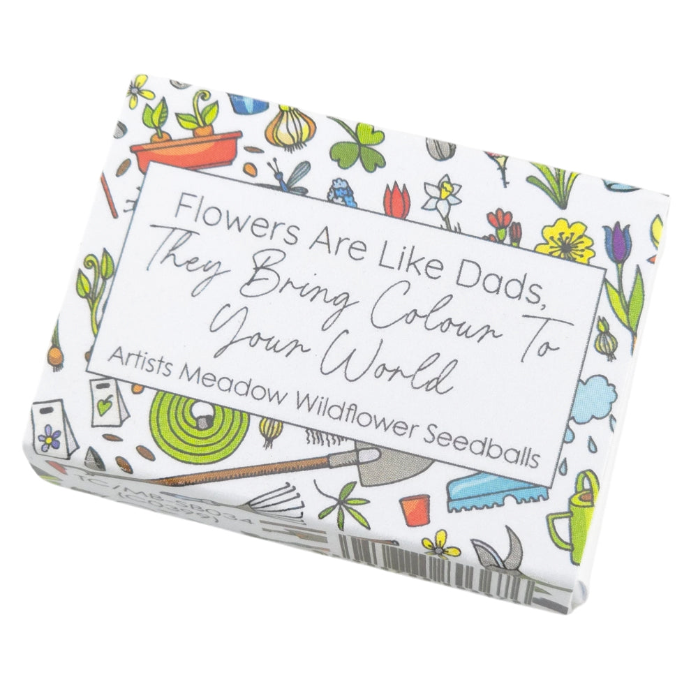 Flowers Are Like Dads | Artist Mix Seedball Box | Cracker Filler | Mini Gift