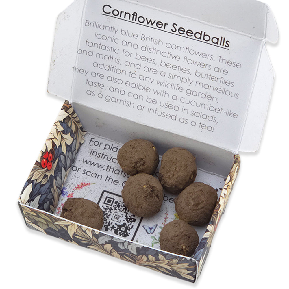 Snowberries | 6 Cornflower Seedballs | William Morris | Cracker Filler