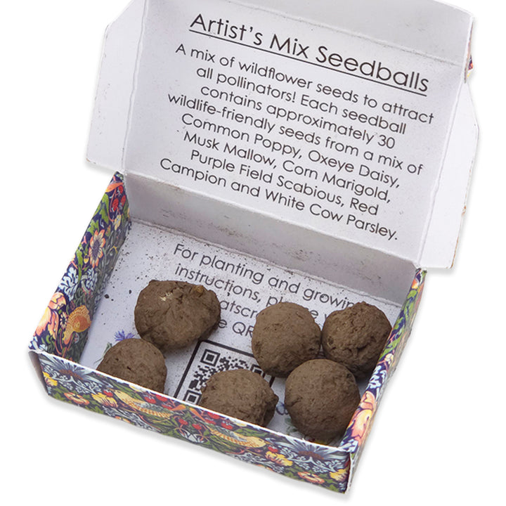 Green Strawberry Thief | 6 Seedballs | Artist Meadow Mix | Cracker Filler Gift