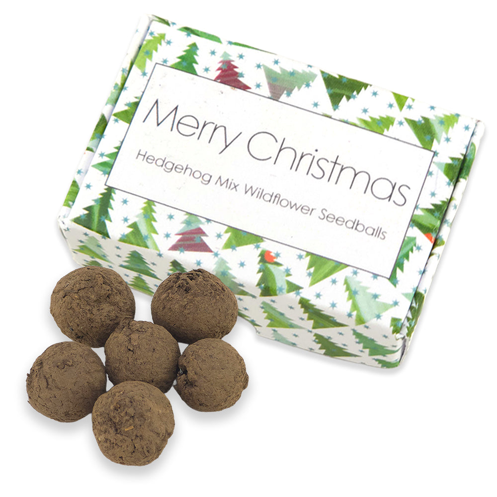 Christmas Tree Wave | 6 Seedballs | Hedgehog Mix | Cracker Filler Gift