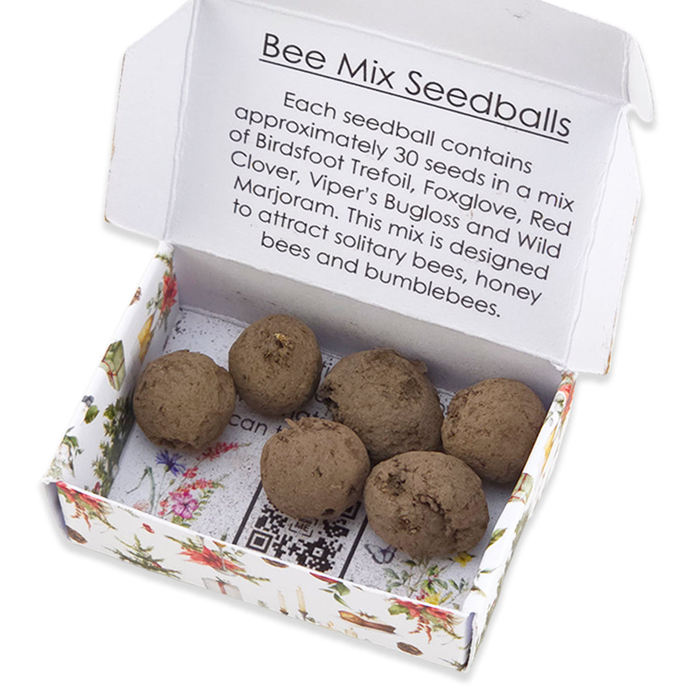 Traditional Christmas | 6 Seedballs | Bee Mix | Cracker Filler Gift