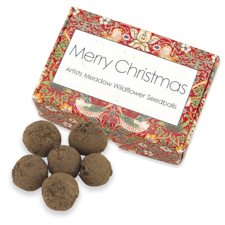 Red Strawberry Thief | 6 Seedballs | Artist Meadow Mix | Cracker Filler Gift