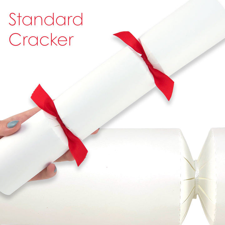 Cool White | Cracker Making DIY Craft Kits | Make Your Own | Eco Recyclable