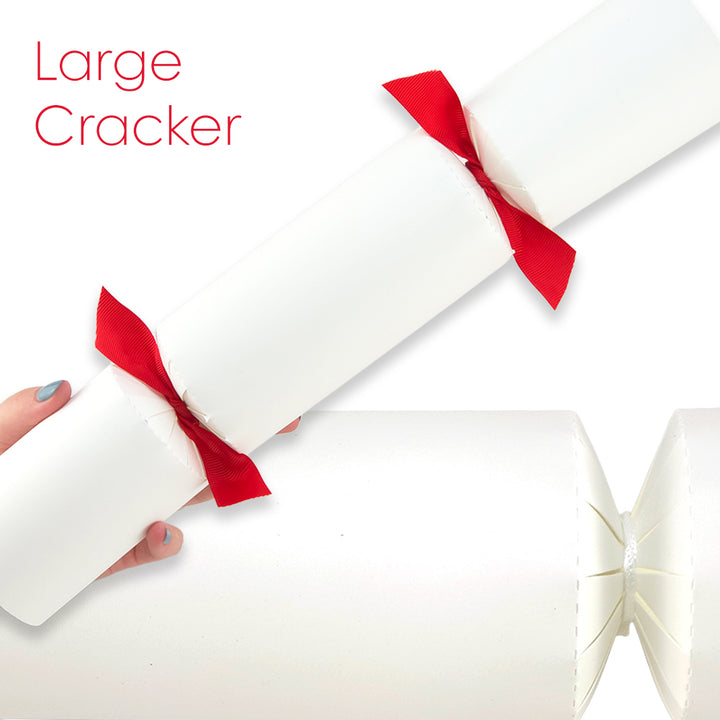 Cool White | Cracker Making DIY Craft Kits | Make Your Own | Eco Recyclable