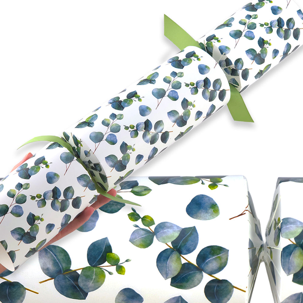 Extra Large &amp; Jumbo | Reusable Keepsake Cracker Sets | Watercolour Eucalyptus