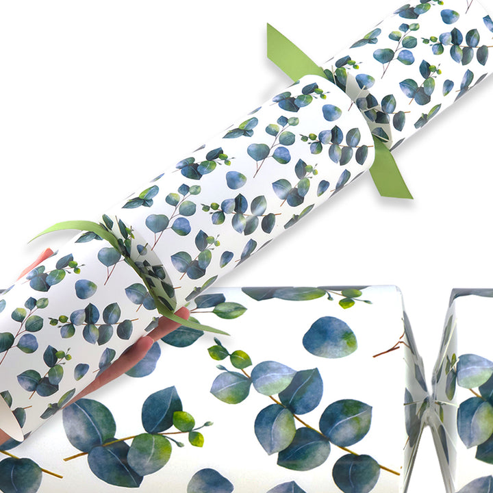 Extra Large &amp; Jumbo | Reusable Keepsake Cracker Sets | Watercolour Eucalyptus