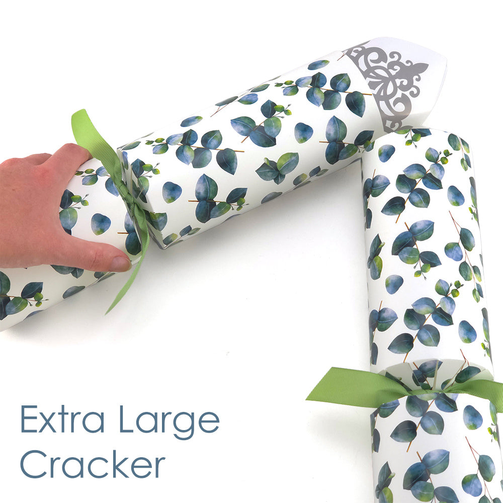 Extra Large &amp; Jumbo | Reusable Keepsake Cracker Sets | Watercolour Eucalyptus