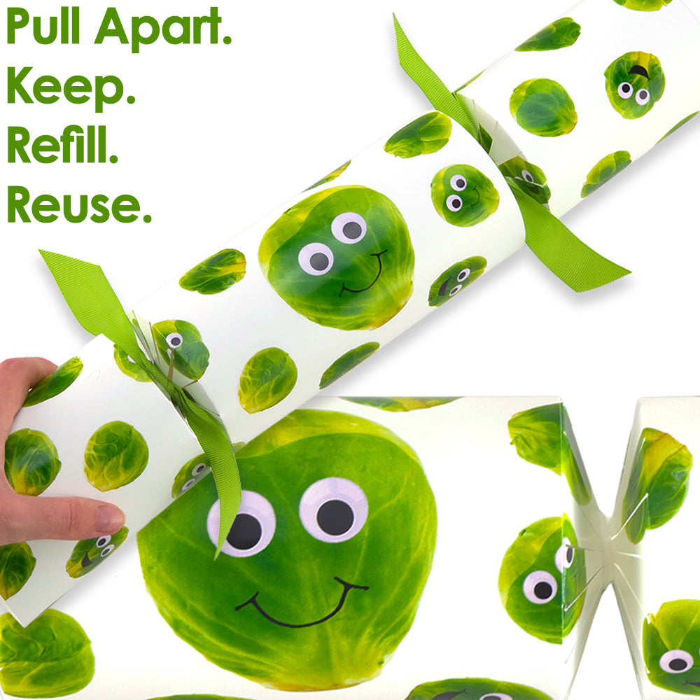Extra Large &amp; Jumbo | Reusable Keepsake DIY Cracker Sets | Googly Sprouts