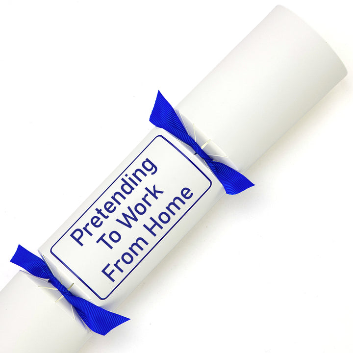 Pretending to Work from Home | Single Cracker Making Craft Kit | Office Banter