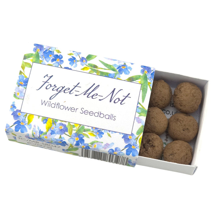 Watercolour Forget Me Not | Seedball Matchbox | Cracker Filler | Mini Gift