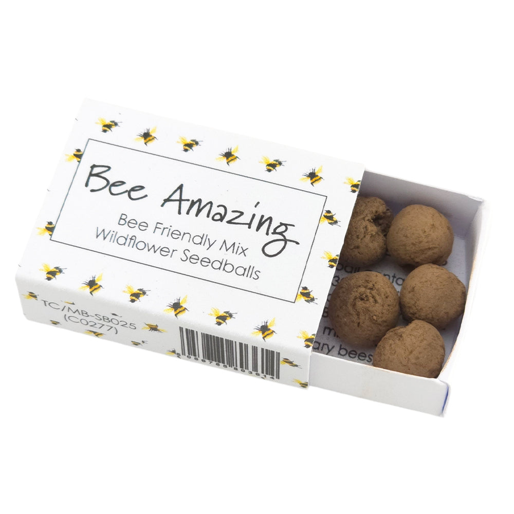Bee Amazing | 6 Seedball Matchbox | Bee Mix | Cracker Filler | Little Gift