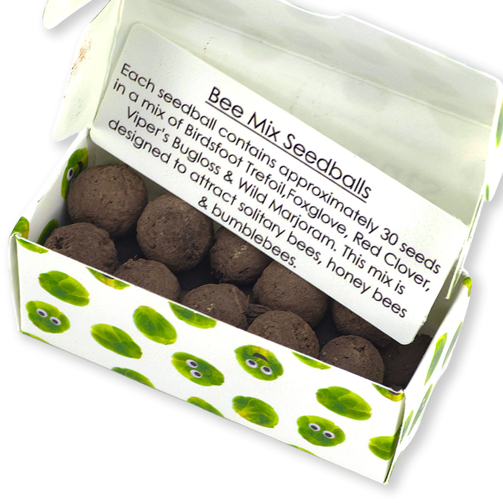 I Love Sprouts | Box of 20 Bee Mix Seedballs | Cracker Filler | Little Gift