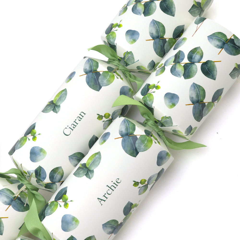 Personalised Cracker Making Kit | Watercolour Eucalyptus | Minimum 4