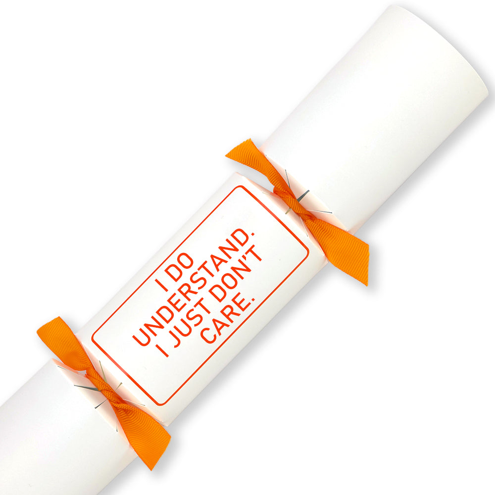 I Do Understand. I Don’t Care. | Single Cracker Making Craft Kit | Office Banter