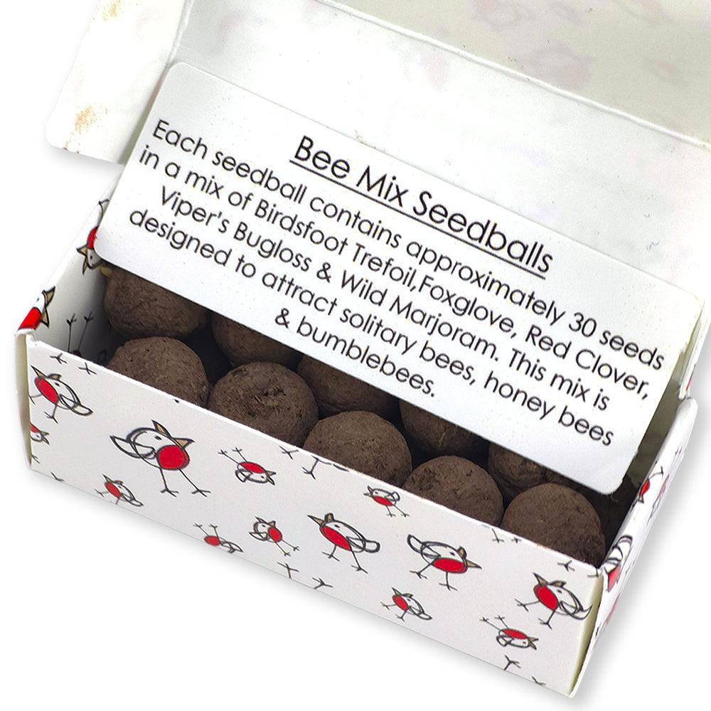 Chirpy Robin | Merry Christmas | Box of 20 Bee Mix Seedballs | Cracker Filler