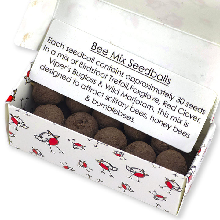 Chirpy Robin | Merry Christmas | Box of 20 Bee Mix Seedballs | Cracker Filler